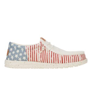 wally funk americana stars american flag